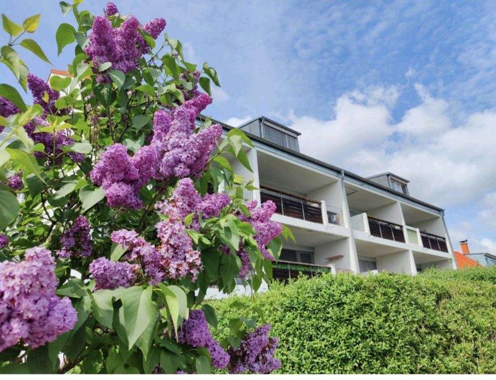 Thumbnail-Wohnung zum Mieten in Queis 499,00 € 58 m²