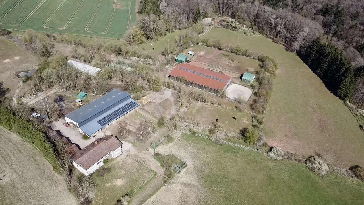 Thumbnail-Haus zum Kaufen in Battweiler 1.300.000,00 € 321 m²