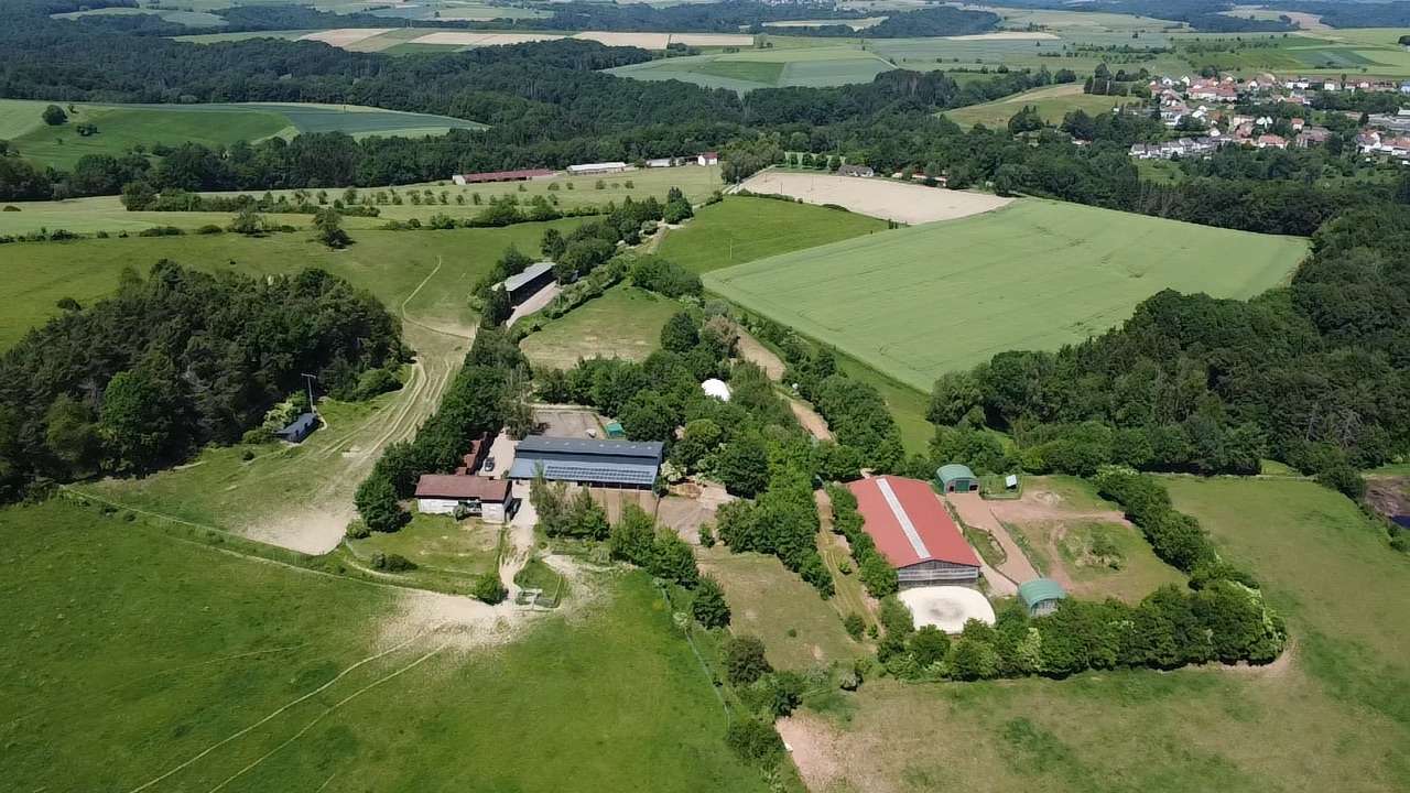 Thumbnail-Haus zum Kaufen in Battweiler 1.300.000,00 € 321.4 m²