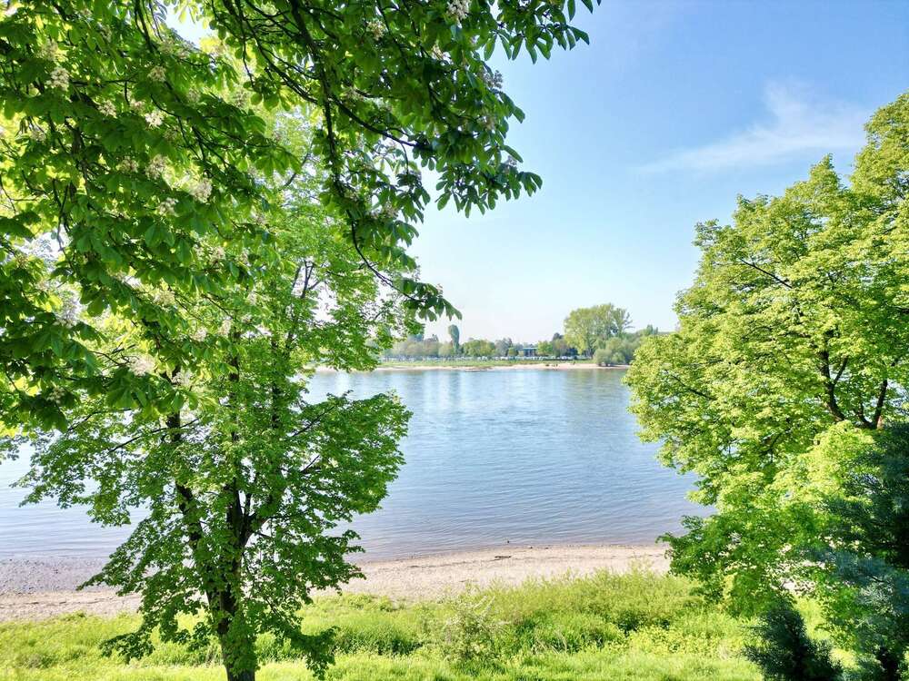 Thumbnail-Wohnung zum Kaufen in Köln 685.000,00 € 109.73 m²