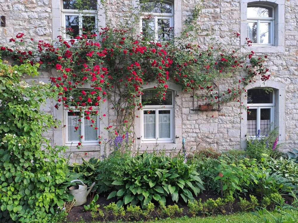 Thumbnail-Haus zum Kaufen in Aachen Hahn 888.000,00 € 330 m²