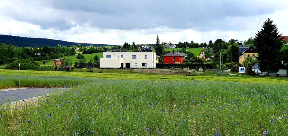 Thumbnail-Grundstück zu verkaufen in AuerbachVogtland 77.895,00 € 577 m²