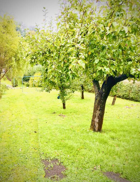 Thumbnail-Grundstück zu verkaufen in Wintersdorf 44.850,00 € 650 m²