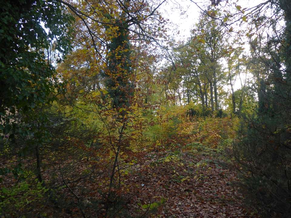 Thumbnail-Grundstück zu verkaufen in Schönwalde-Glien 295.000,00 € 921 m²