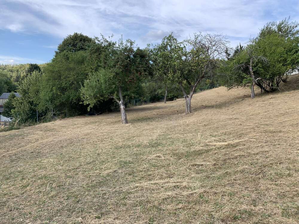 Thumbnail-Grundstück zu verkaufen in Schmitten-Arnoldshain 150.000,00 € 740 m²