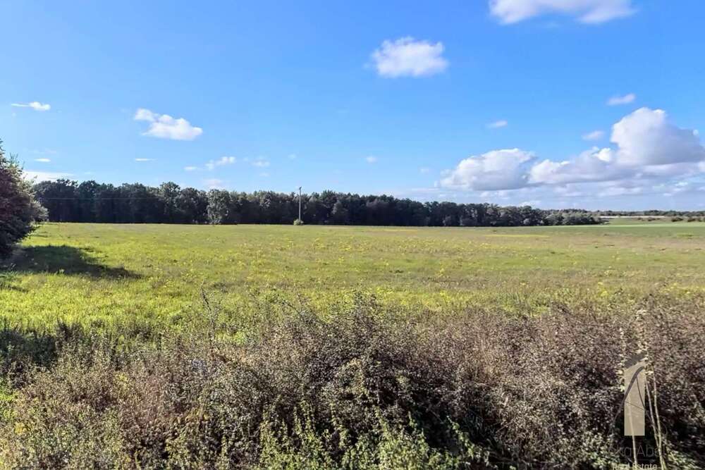 Thumbnail-Grundstück zu verkaufen in Osloß 201.000,00 € 804 m²