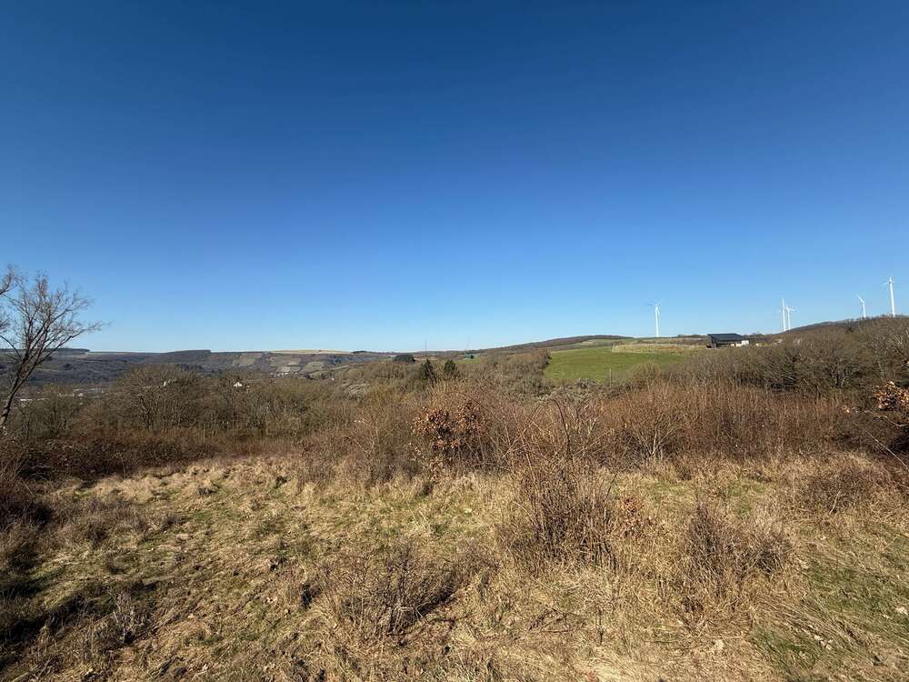 Thumbnail-Grundstück in Meisenheim 800.000,00 € 8600 m²