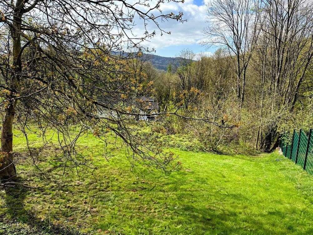 Thumbnail-Grundstück zu verkaufen in Lindenfels Winkel 99.000,00 € 991 m²
