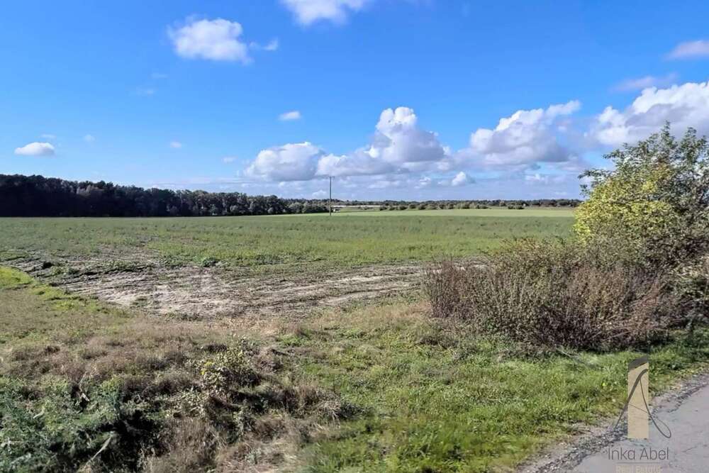 Thumbnail-Grundstück zu verkaufen in Osloß 193.800,00 € 646 m²