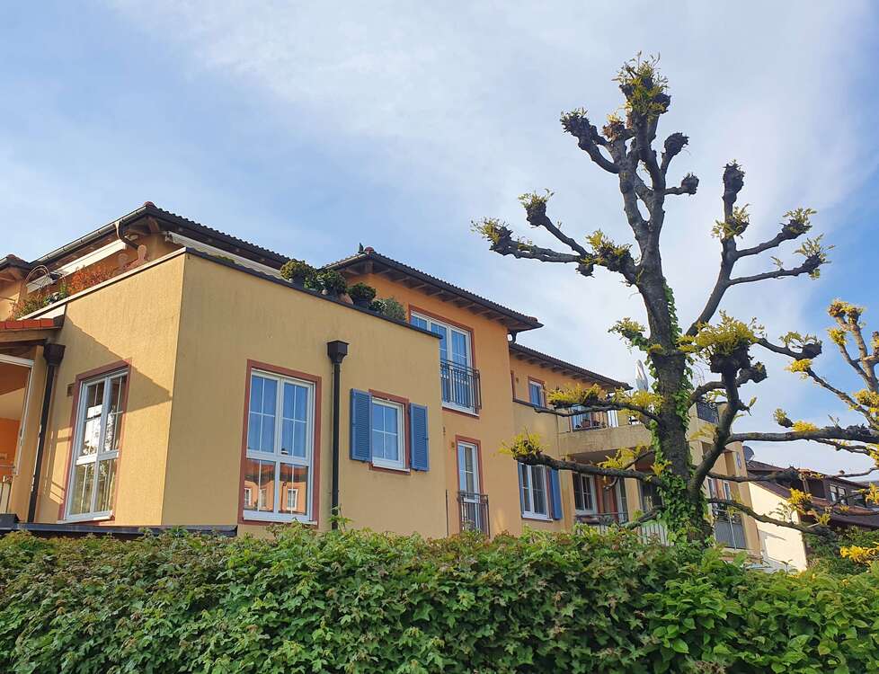 Thumbnail-Wohnung zum Mieten in Bad Krozingen 1.422,00 € 103.6 m²