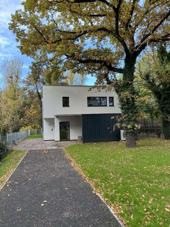Thumbnail-Haus zum Mieten in Leipzig 1.950,00 € 141.66 m²