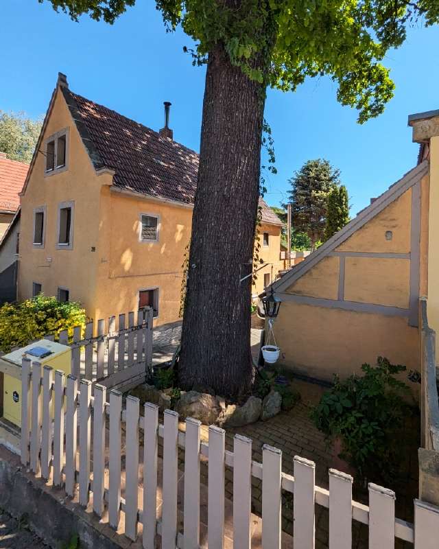 Thumbnail-Haus zum Kaufen in Dresden 225.000,00 € 99 m²