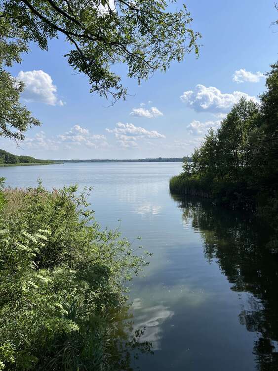 Thumbnail-Grundstück zu verkaufen in Sperenberg 240.000,00 € 1919 m²