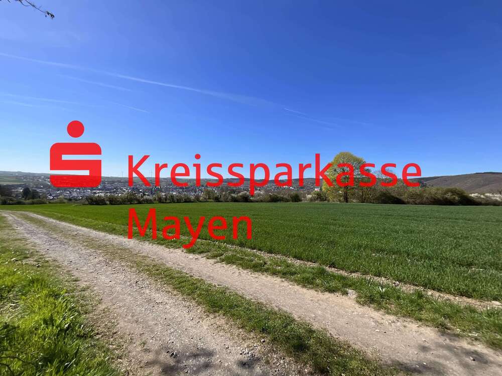 Thumbnail-Grundstück zu verkaufen in Mayen 1.400.000,00 € 27259 m²