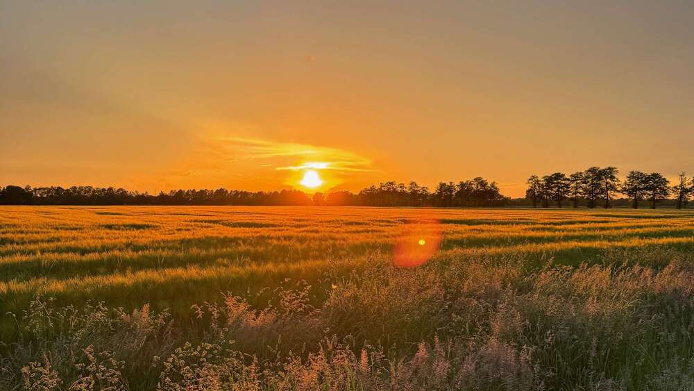 Thumbnail-Grundstück zu verkaufen in Winsen (Luhe) 229.000,00 € 570 m²