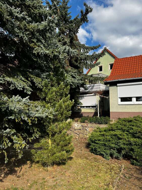 Thumbnail-Haus zum Kaufen in coswig 269.000,00 € 170 m²