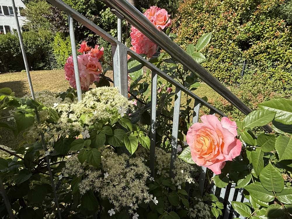 Thumbnail-Wohnung zum Mieten in Hofheim am Taunus 1.380,00 € 76 m²