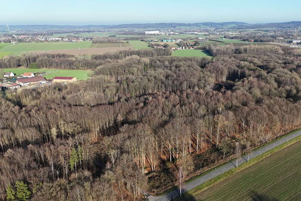 Thumbnail-Grundstück zu verkaufen in Melle 156.240,00 € 7812 m²
