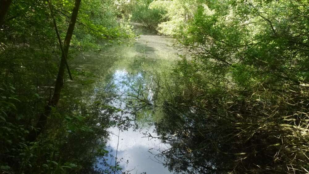 Thumbnail-Grundstück in Mechtersen 39.000,00 € 6021 m²