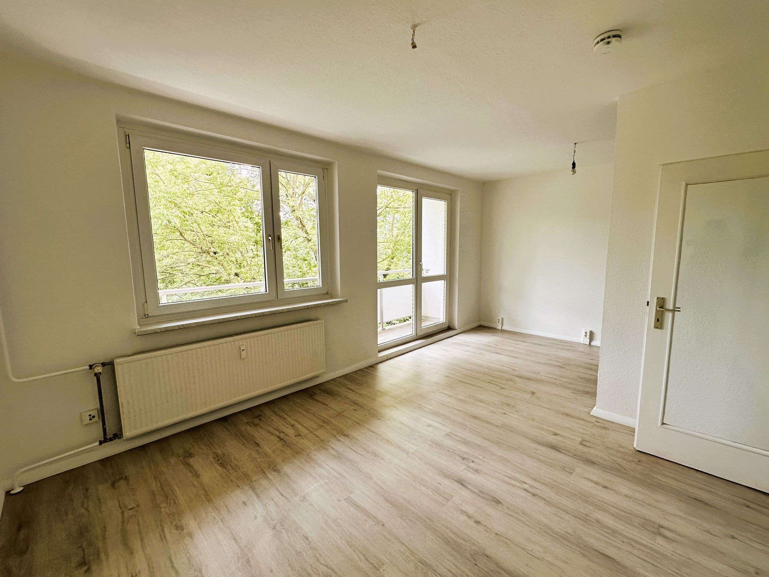 Thumbnail-Wohnung zum Mieten in Halle (Saale) 239,00 € 37 m²