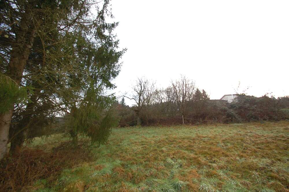 Thumbnail-Grundstück zu verkaufen in Eberbach 150.000,00 € 1589 m²
