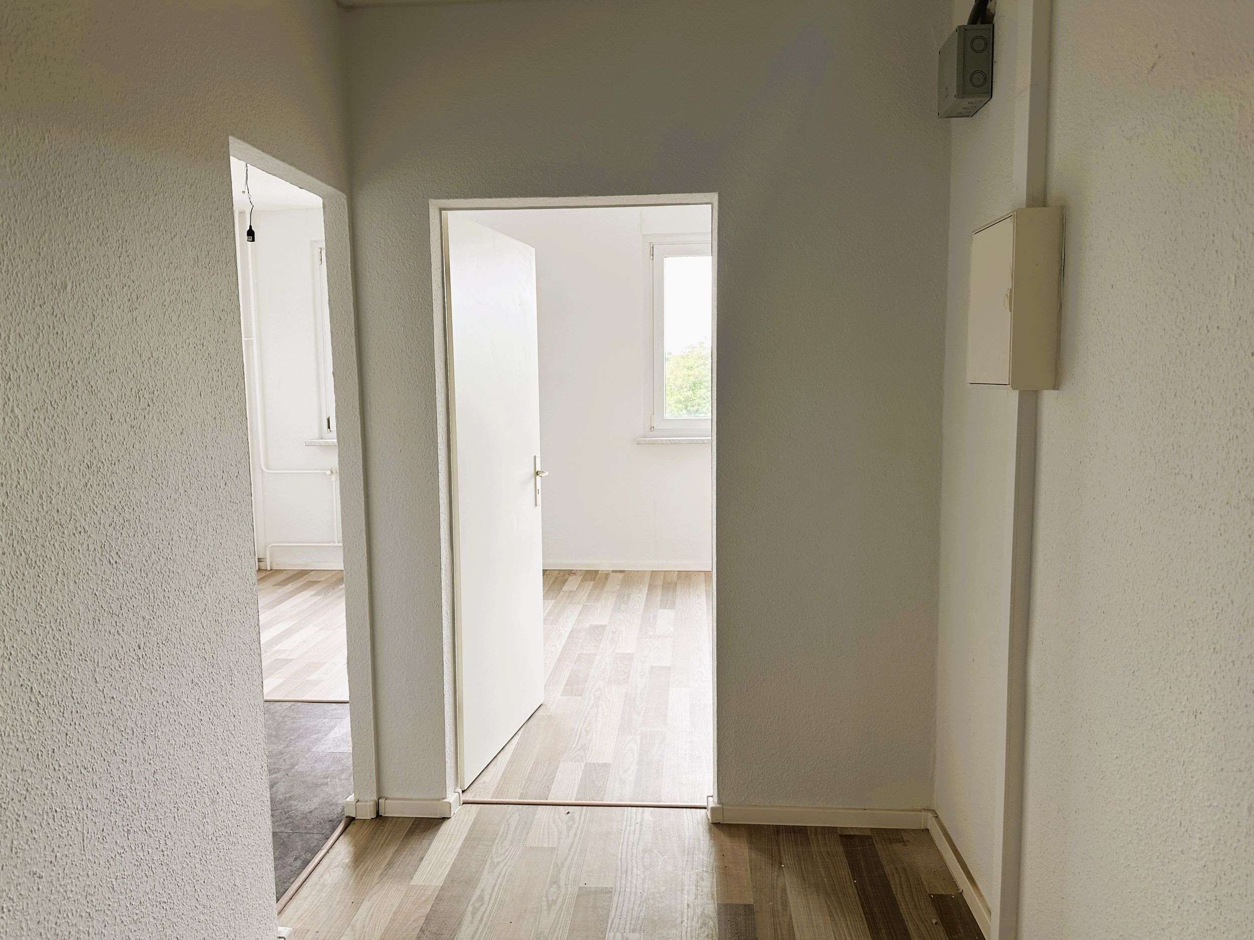 Thumbnail-Wohnung zum Mieten in Halle (Saale) 339,00 € 56 m²