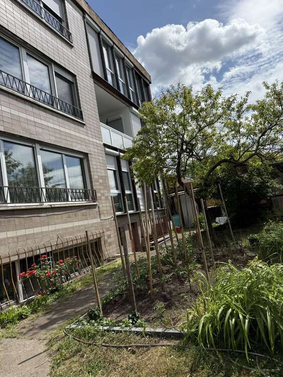 Thumbnail-Wohnung zum Kaufen in Hanau 180.000,00 € 67 m²