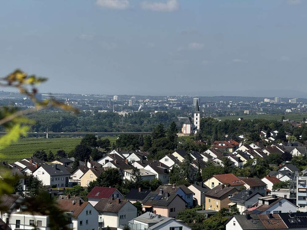 Thumbnail-Wohnung zum Kaufen in Hochheim a. Main 388.000,00 € 187 m²