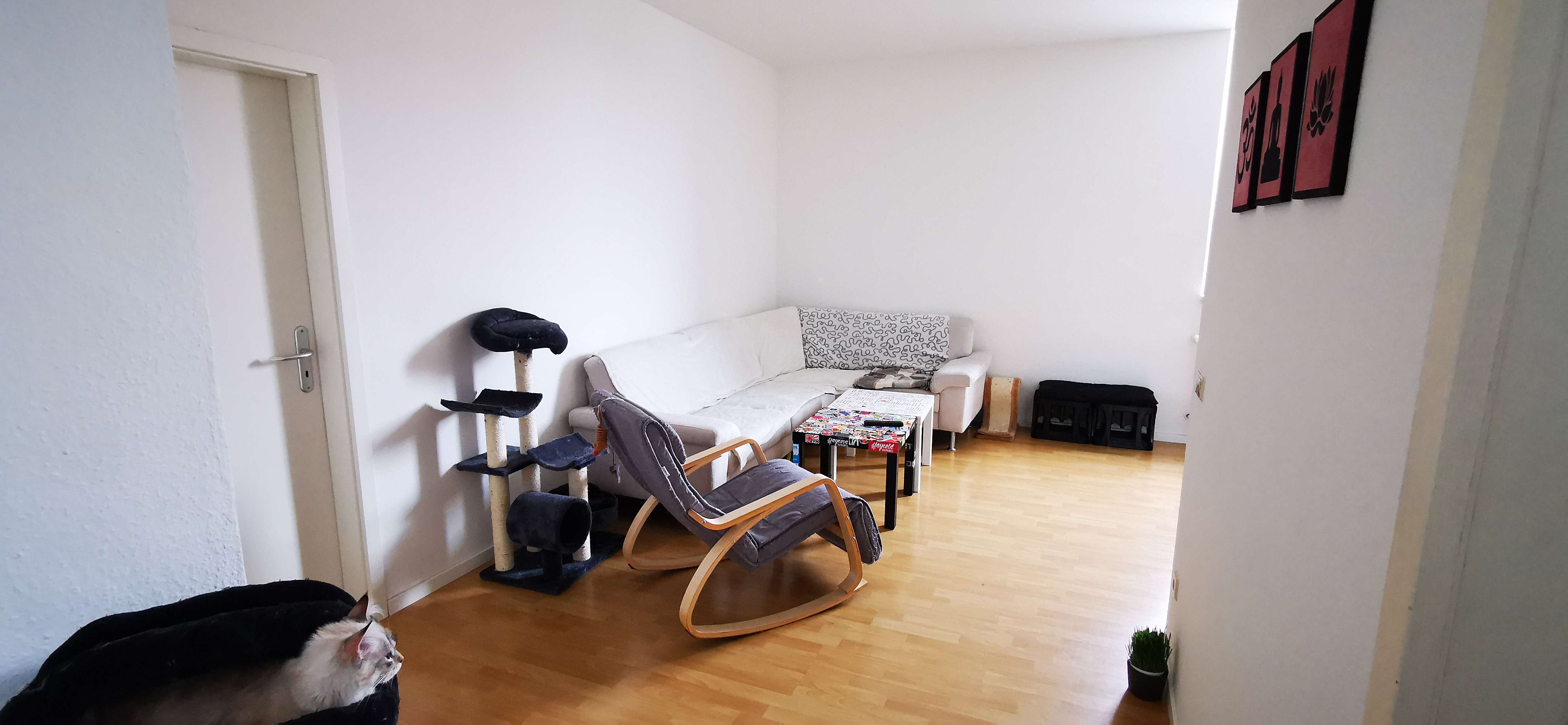 Thumbnail-Wohnung zum Mieten in Mannheim 800,00 € 55 m²