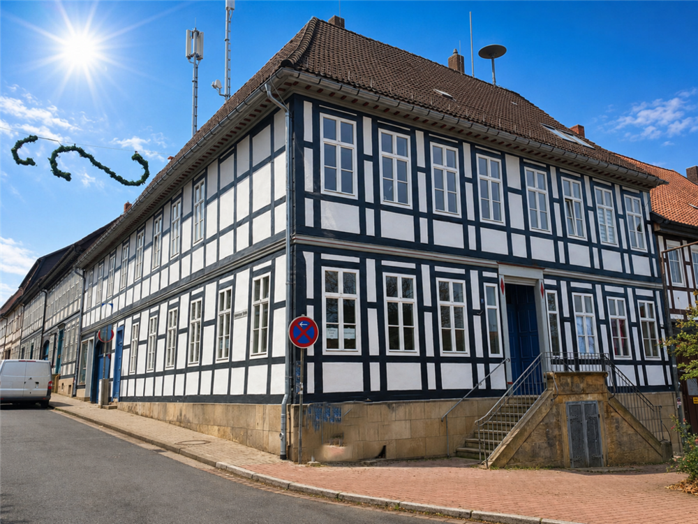 Thumbnail-Haus zum Kaufen in Bad Salzdetfurth 619.000,00 € 305 m²