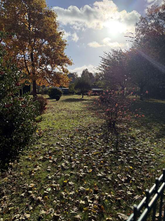 Thumbnail-Grundstück zu verkaufen in Mönchengladbach 349.000,00 € 1200 m²