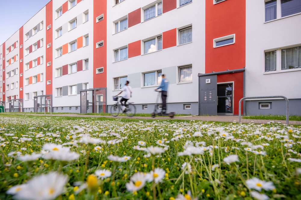 Thumbnail-Wohnung zum Mieten in Magdeburg 394,17 € 56.31 m²