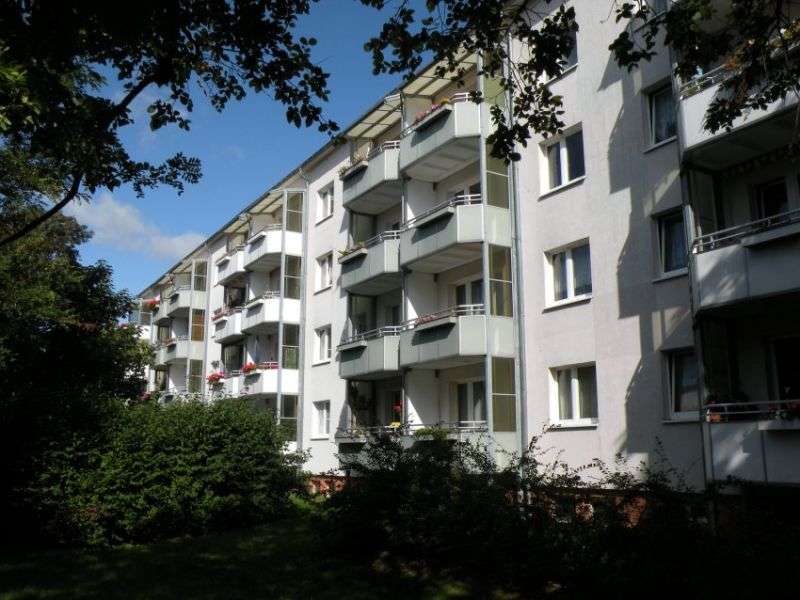Thumbnail-Wohnung zum Mieten in Stralsund 325,78 € 50.12 m²