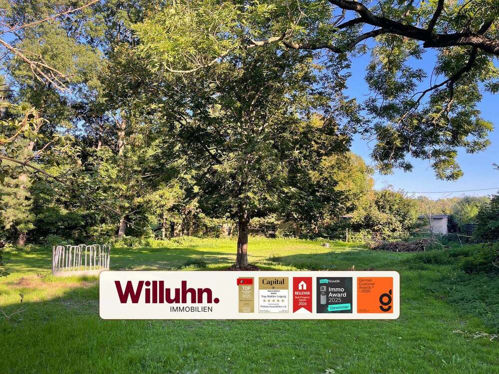 Thumbnail-Grundstück zu verkaufen in Lützen 90.000,00 € 3153 m²