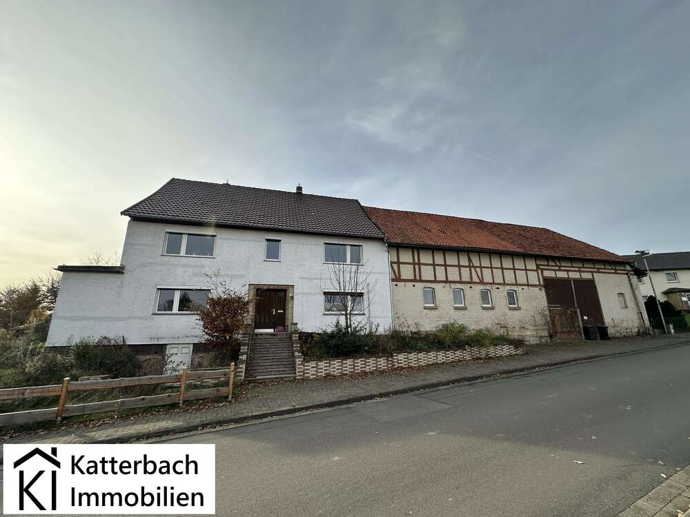 Thumbnail-Haus zum Kaufen in Düderode 149.000,00 € 228 m²