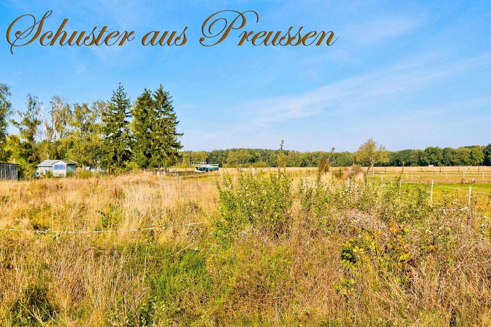 Thumbnail-Grundstück zu verkaufen in Rankwitz 279.000,00 € 3625 m²