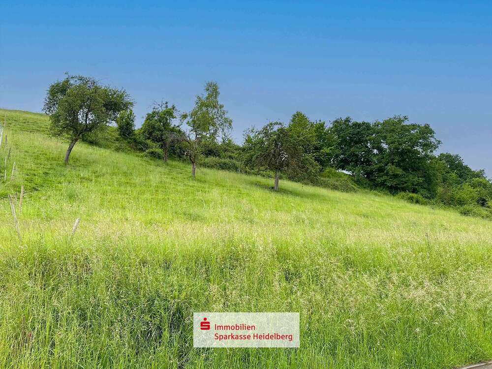 Thumbnail-Grundstück zu verkaufen in Eberbach 63.600,00 € 795 m²