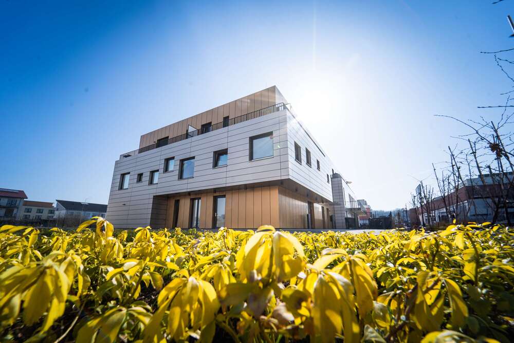 Thumbnail-Wohnung zum Mieten in Dortmund 530,00 € 32.65 m²