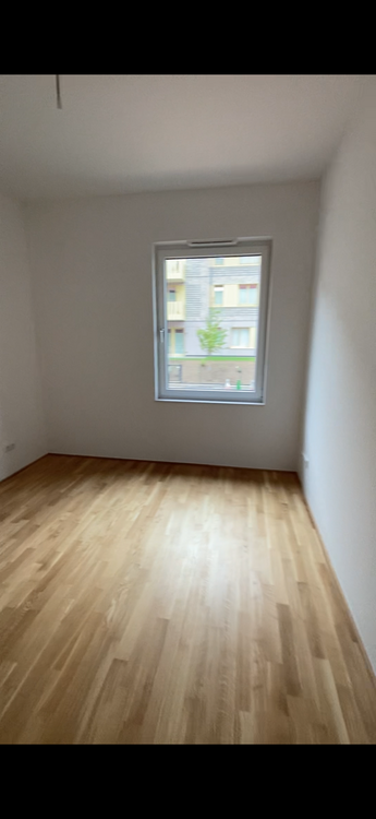 Thumbnail-Wohnung zum Mieten in Mainz 1.023,00 € 44.77 m²