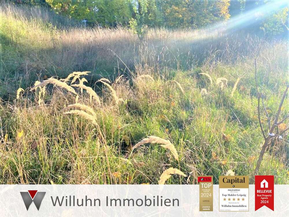 Thumbnail-Grundstück zu verkaufen in Schönwölkau 195.000,00 € 1565.3 m²