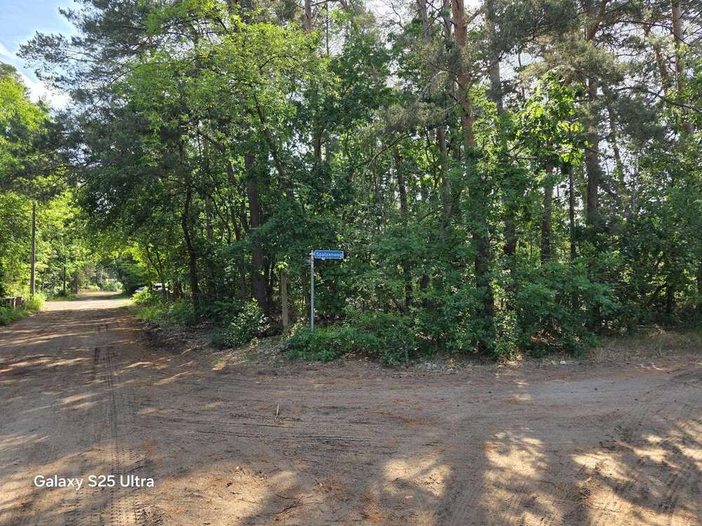 Thumbnail-Grundstück zu verkaufen in Borkheide 149.000,00 € 1162 m²