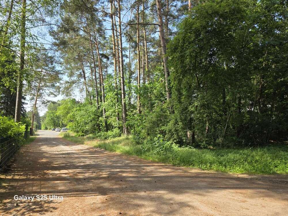 Thumbnail-Grundstück zu verkaufen in Borkheide 155.000,00 € 1234 m²