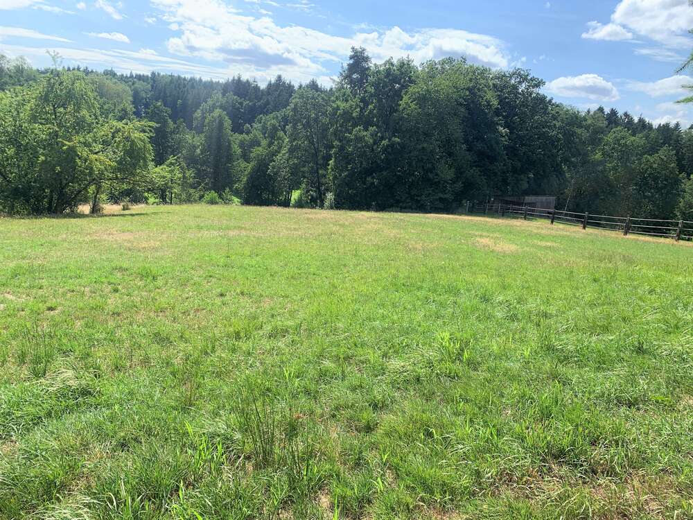 Thumbnail-Grundstück in Schöllnach 54.000,00 € 10087 m²