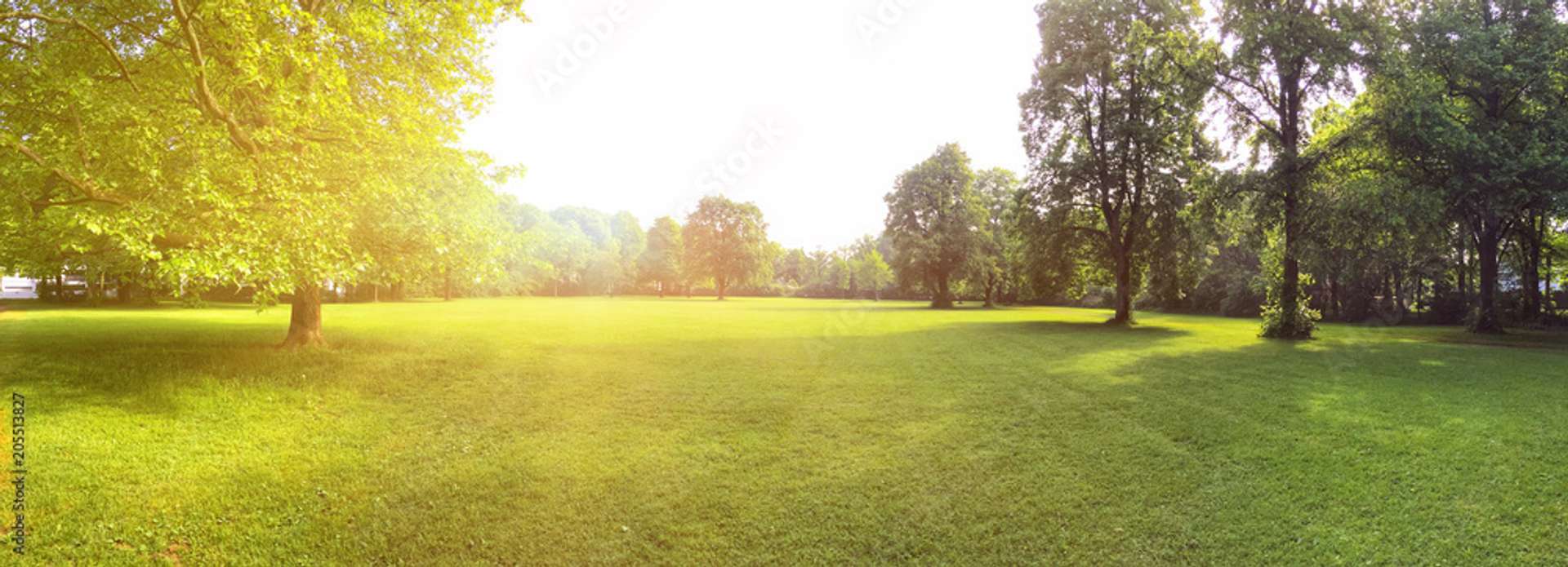 Thumbnail-Grundstück zu verkaufen in Grünwald 2.700.000,00 € 800 m²