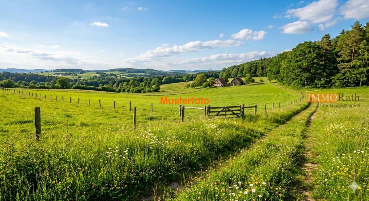 Thumbnail-Grundstück in Neuershausen 26.000,00 € 9981 m²