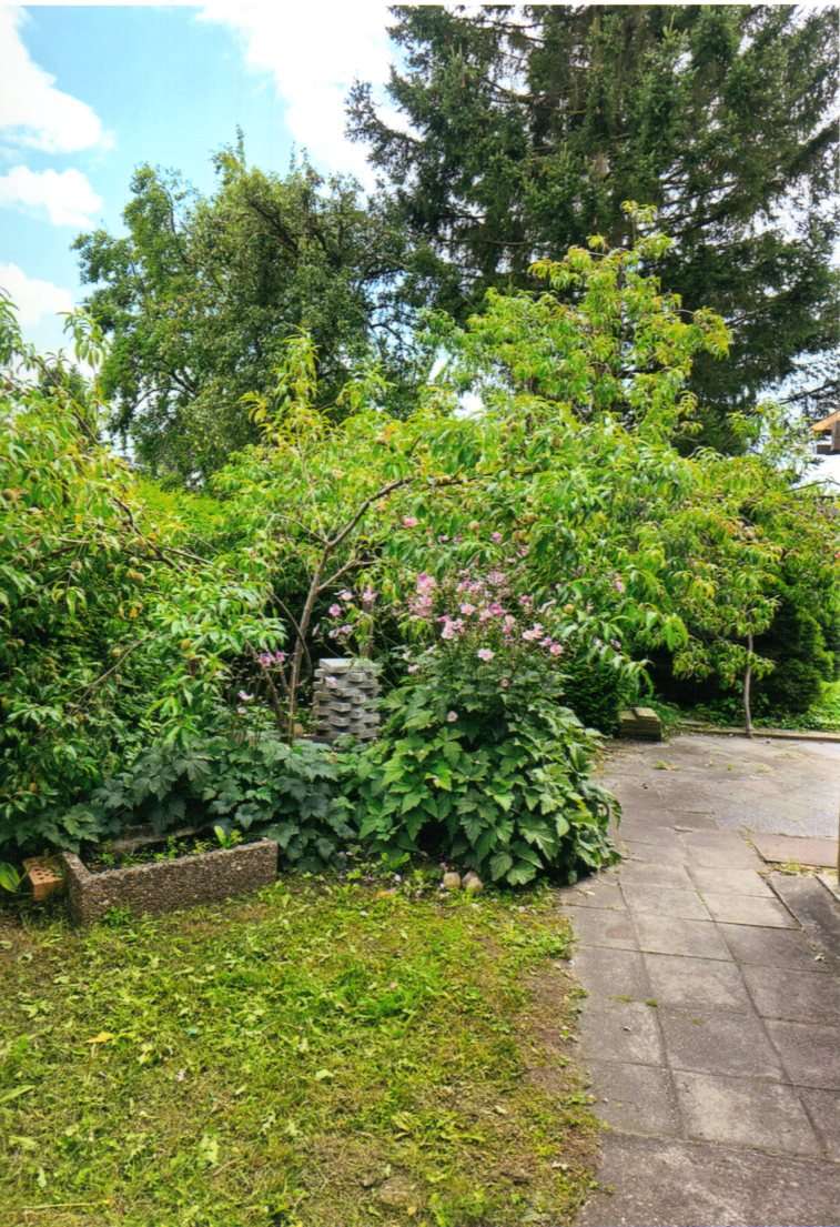 Thumbnail-Grundstück zu verkaufen in Brieselang 160.000,00 € 499 m²