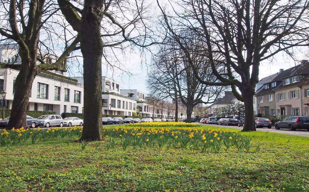 Thumbnail-Wohnung zum Kaufen in Düsseldorf-Golzheim 1.285.000,00 € 157 m²