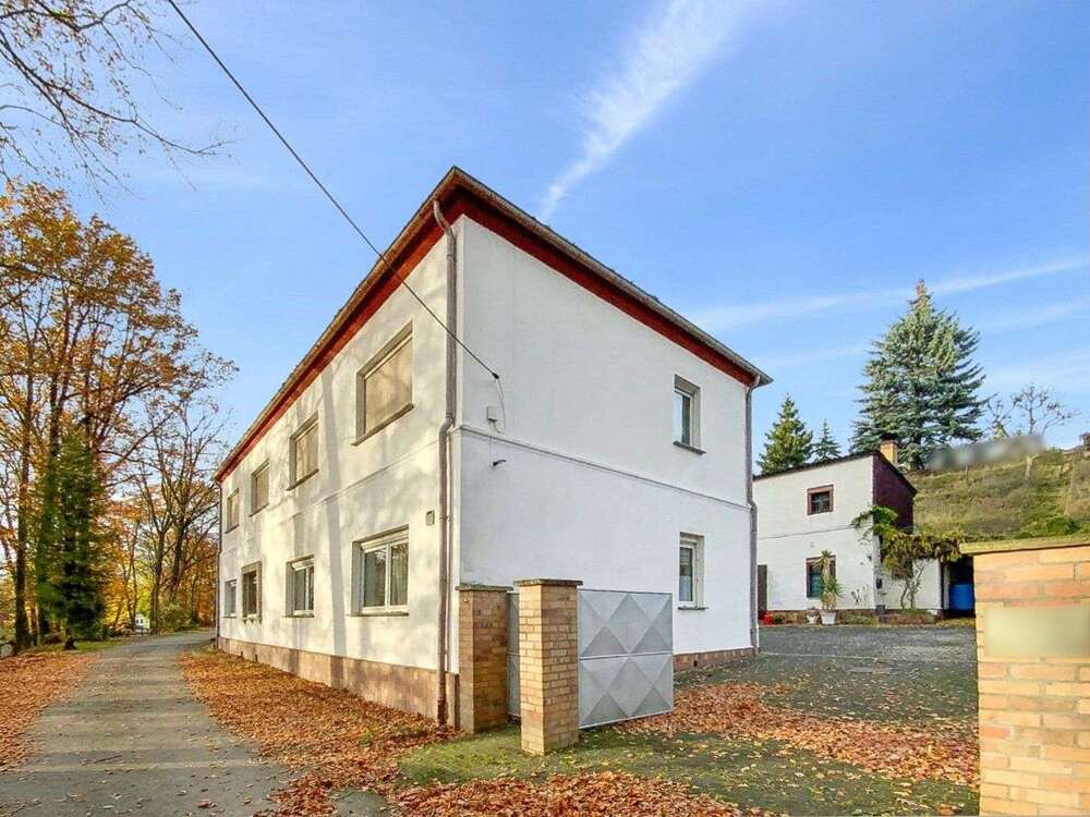 Thumbnail-Haus zum Kaufen in Lauchhammer 329.000,00 € 300 m²