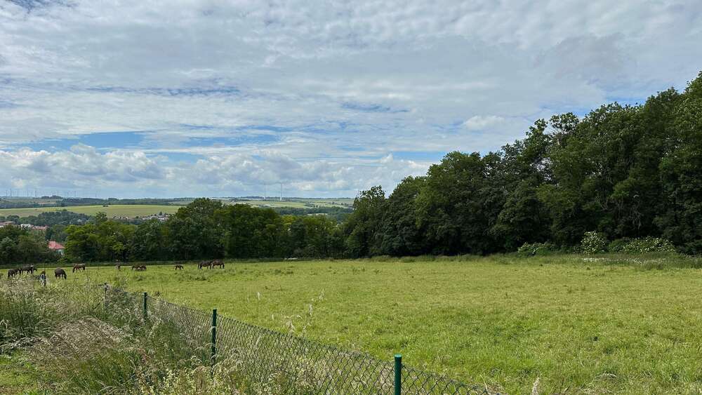 Thumbnail-Grundstück zu verkaufen in Dingelstädt 18.000,00 € 1957 m²