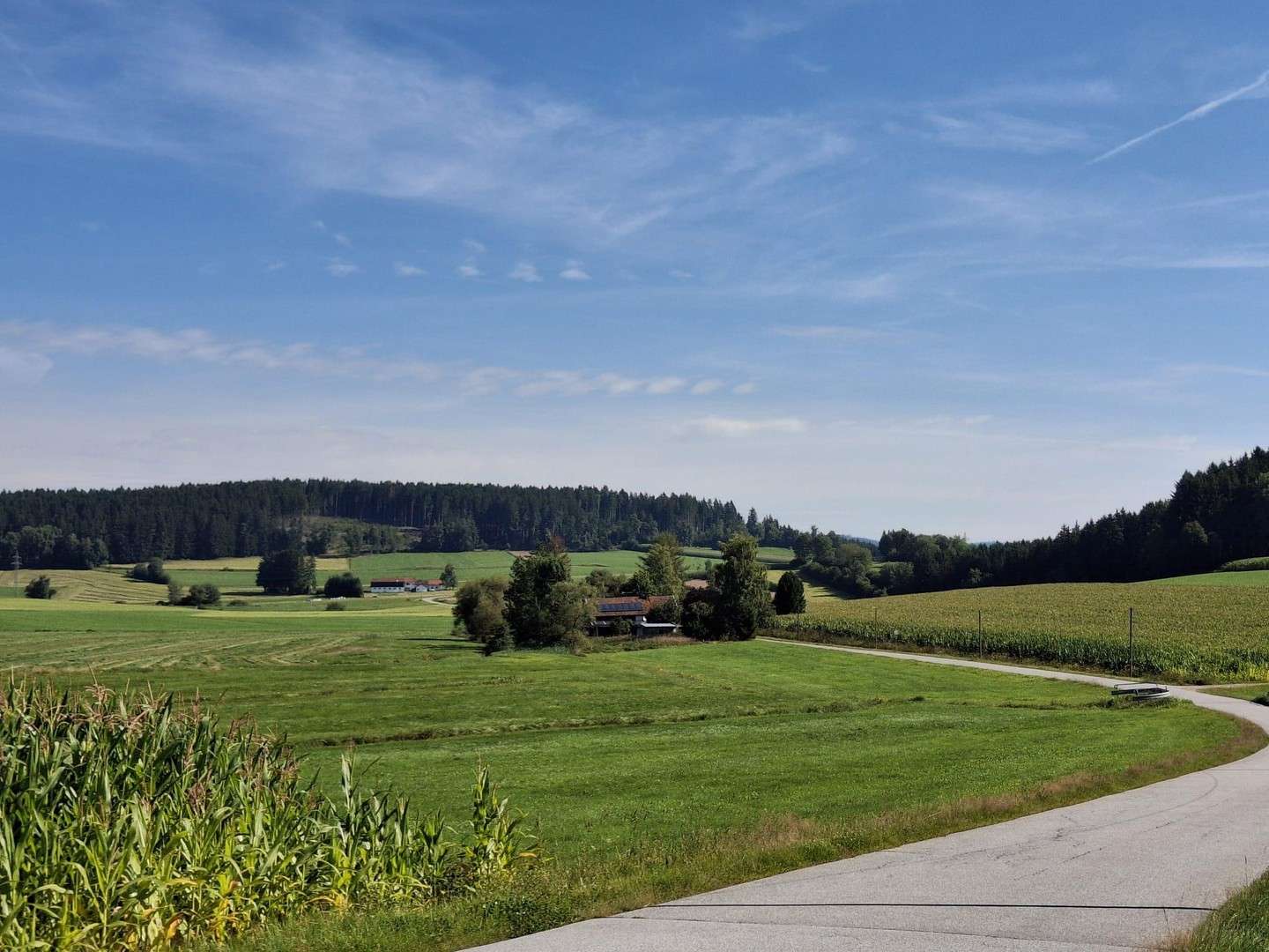 Thumbnail-Haus zum Kaufen in Regen 450.000,00 € 144 m²